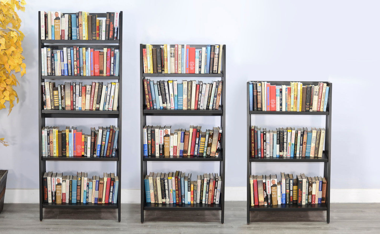Scottsdale - Folding Bookcase